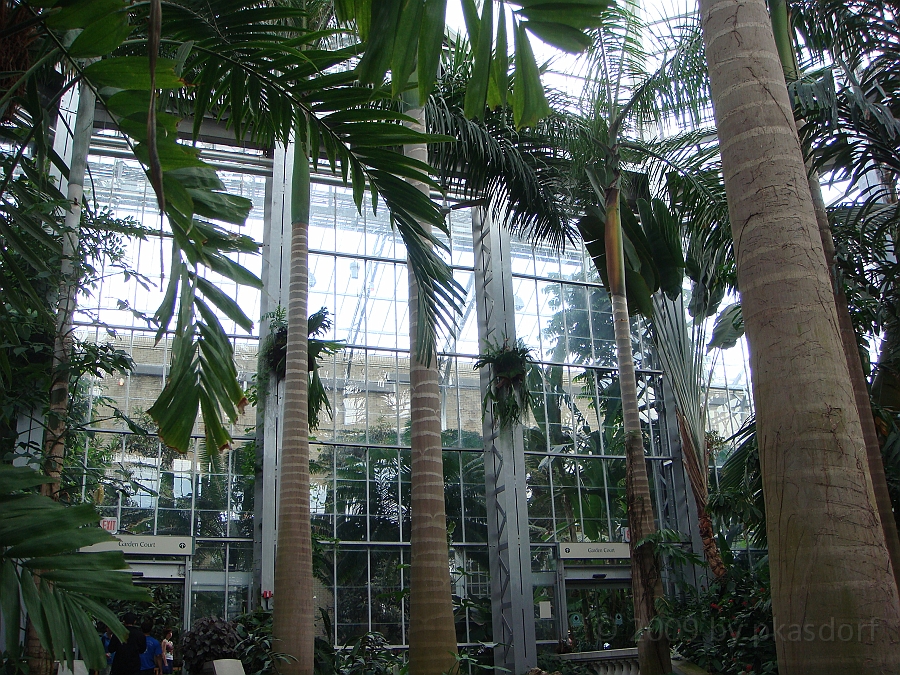 Washington DC [2009 July 04] 088.JPG - Scenes from The United States Botanic Garden